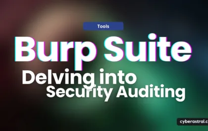 burp suite - delving into security auditing